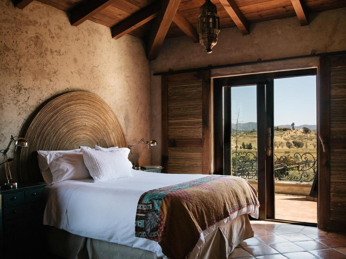 La Villa Del Valle Valle de Guadalupe Phòng bức ảnh